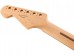Fender Stratocaster Standard Guitar Neck 0994603921
