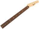 Fender Telecaster Standard Guitar Neck 0995103921