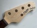 Sterling SUB Series Stingray 5 Bass Neck Rosewood Fretboard