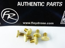 Floyd Rose Brass Fine Tuning Screws FROFTSBRASSP