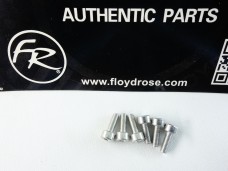 Floyd Rose Stainless Steel Saddle Mounting Screws FROSMSSSP