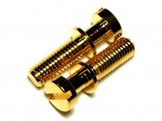 Towner Tailpiece Mounting Studs Metric Gold