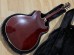 Ibanez EKM10T Eric Krasno Signature Semi-Hollow Wine Red
