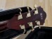 Ibanez EKM10T Eric Krasno Signature Semi-Hollow Wine Red