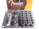 Fender Stratocaster Accessory Kit Black 0991363000