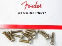 Fender Road Worn Pickup/Switch Screws Chrome 0997212000