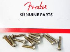 Fender Road Worn Pickup/Switch Screws Chrome 0997212000