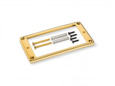 Schaller Pickup Frame Single Hole Gold Curved Flat 17040512
